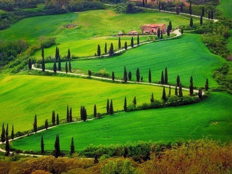 Tuscany by Car